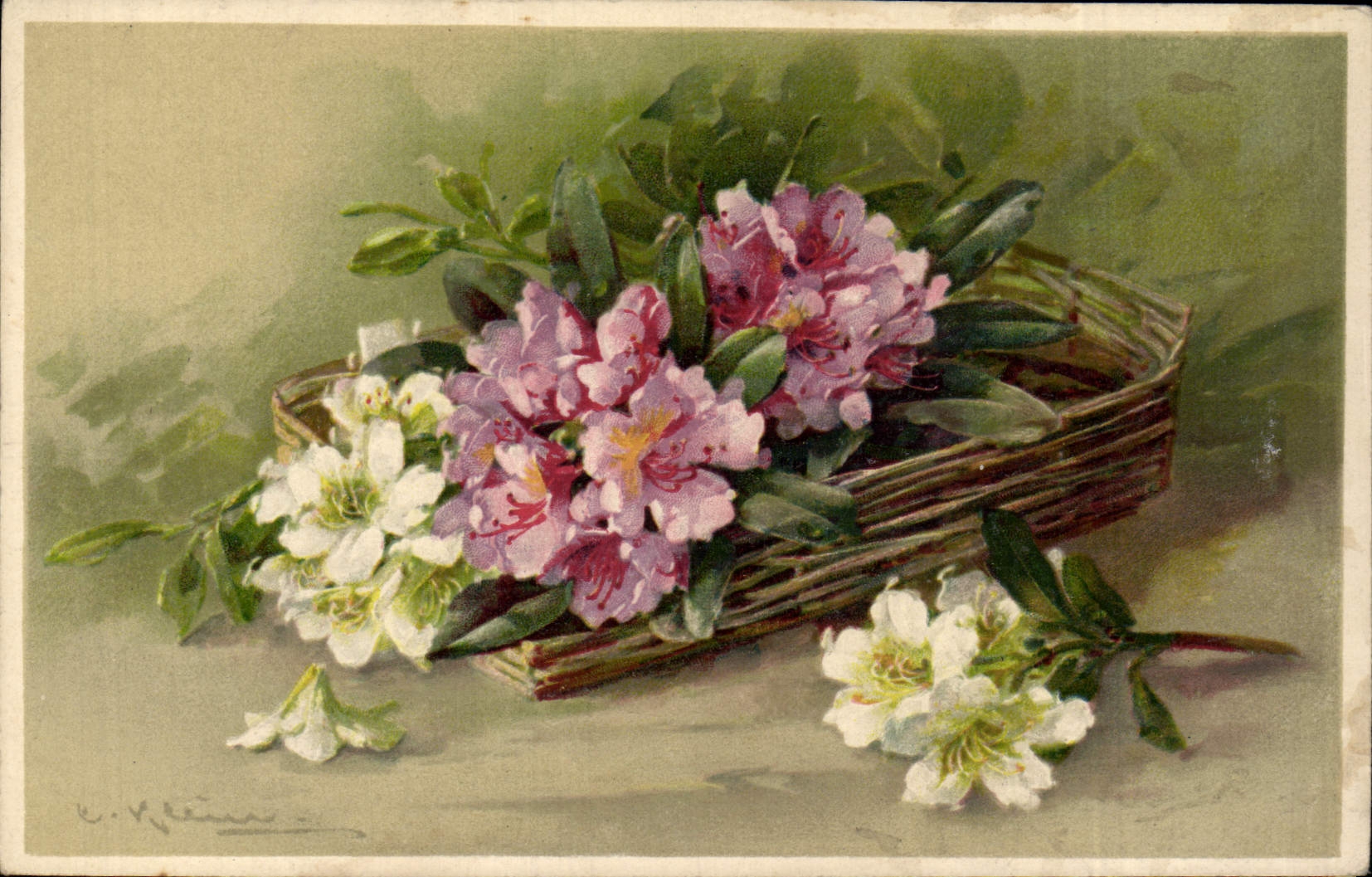 Bouquet de rhododendrons — dans un panier en osier — C. V. Kleinmann