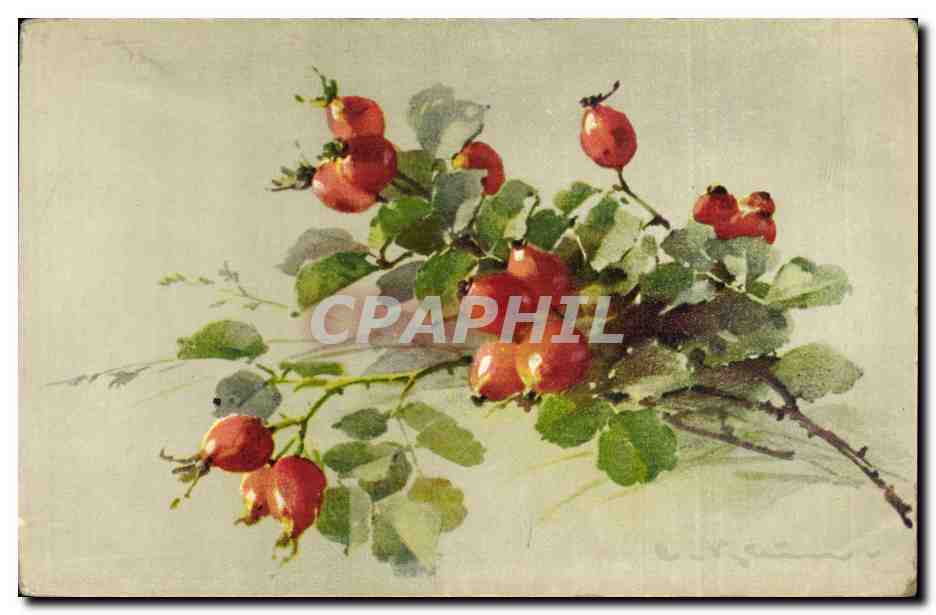 CPA Fantaisie Illustrateur Fleurs 