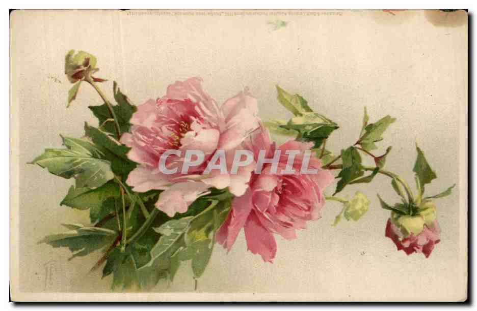 CPA Fantaisie Illustrateur Fleurs 