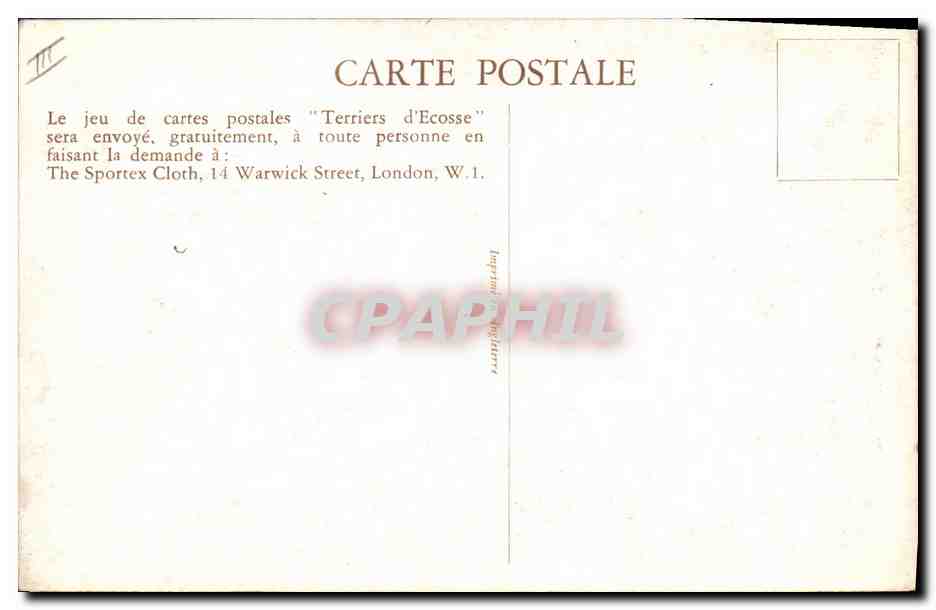 Trois Scottish Terriers — Le "SPORTEX" et son chien — éditeur The Sportex Cloth, Londres — Verso