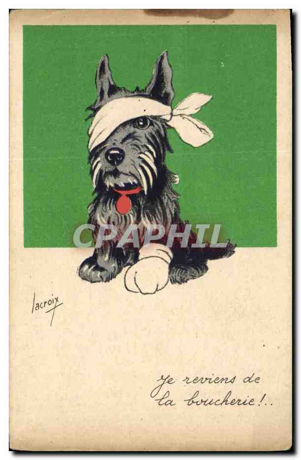 CPA Chiens Chien Lacroix Je reviens de la boucherie 