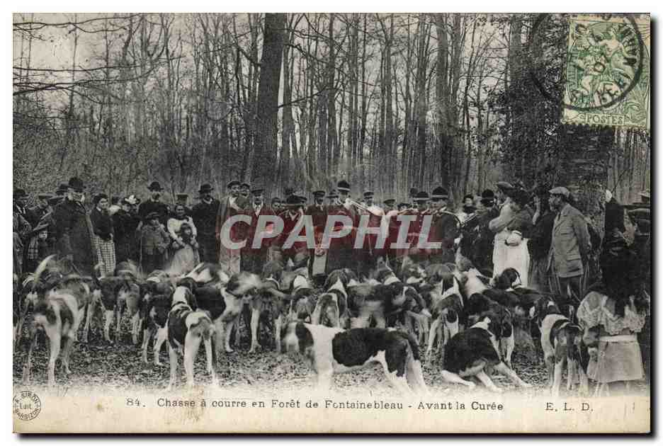 Chasse à courre en Forêt de Fontainebleau — Avant la Curée — E. L. D.