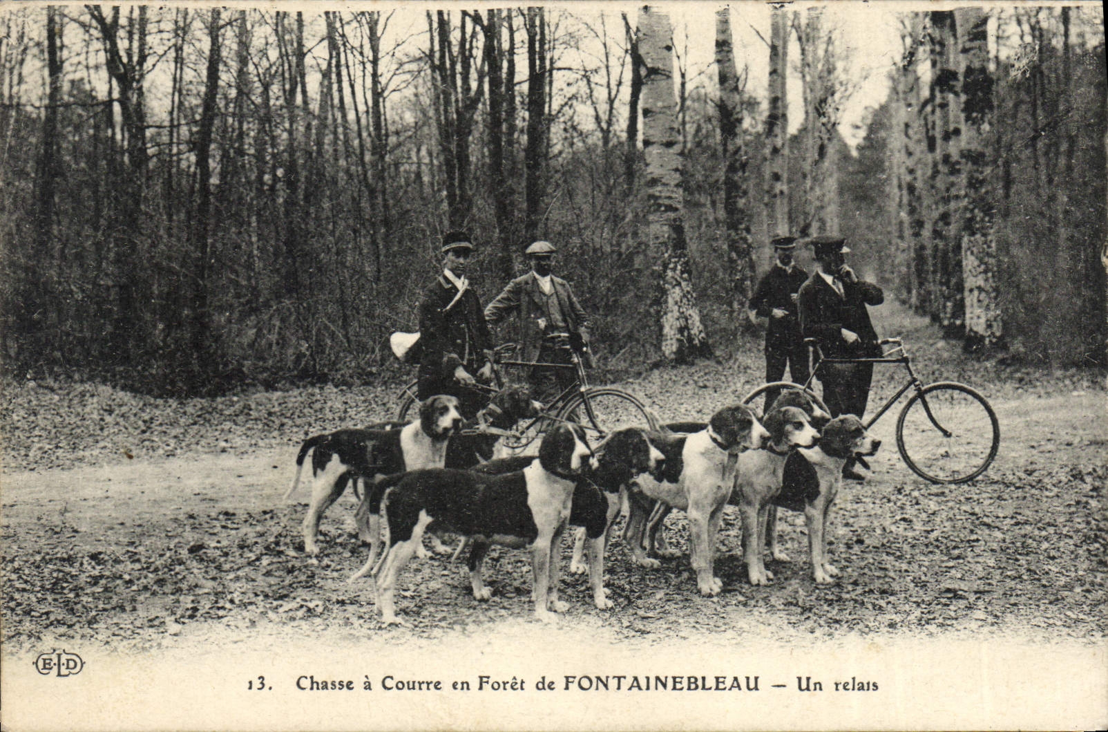 Caccia all'Avvoltoio nella Foresta di FONTAINEBLEAU — Un relais — E.P.D. n°13