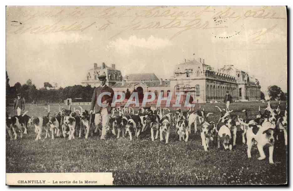 Chantilly — La sortie de la Meute — E. de Rozyczi, phot. (494)