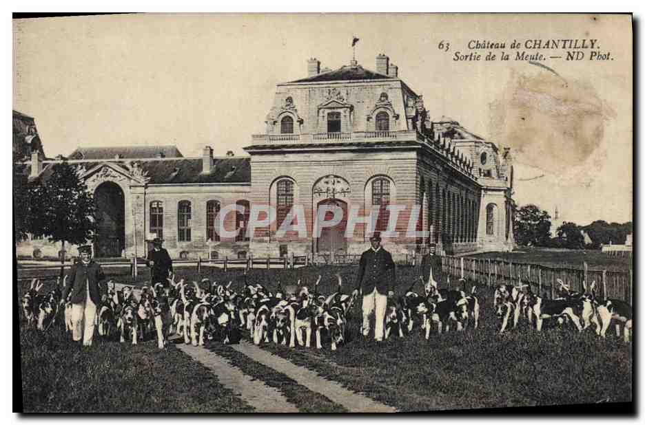 CPA Chasse a courre Chateau de Chantilly Sortie de la meute Chiens Chien