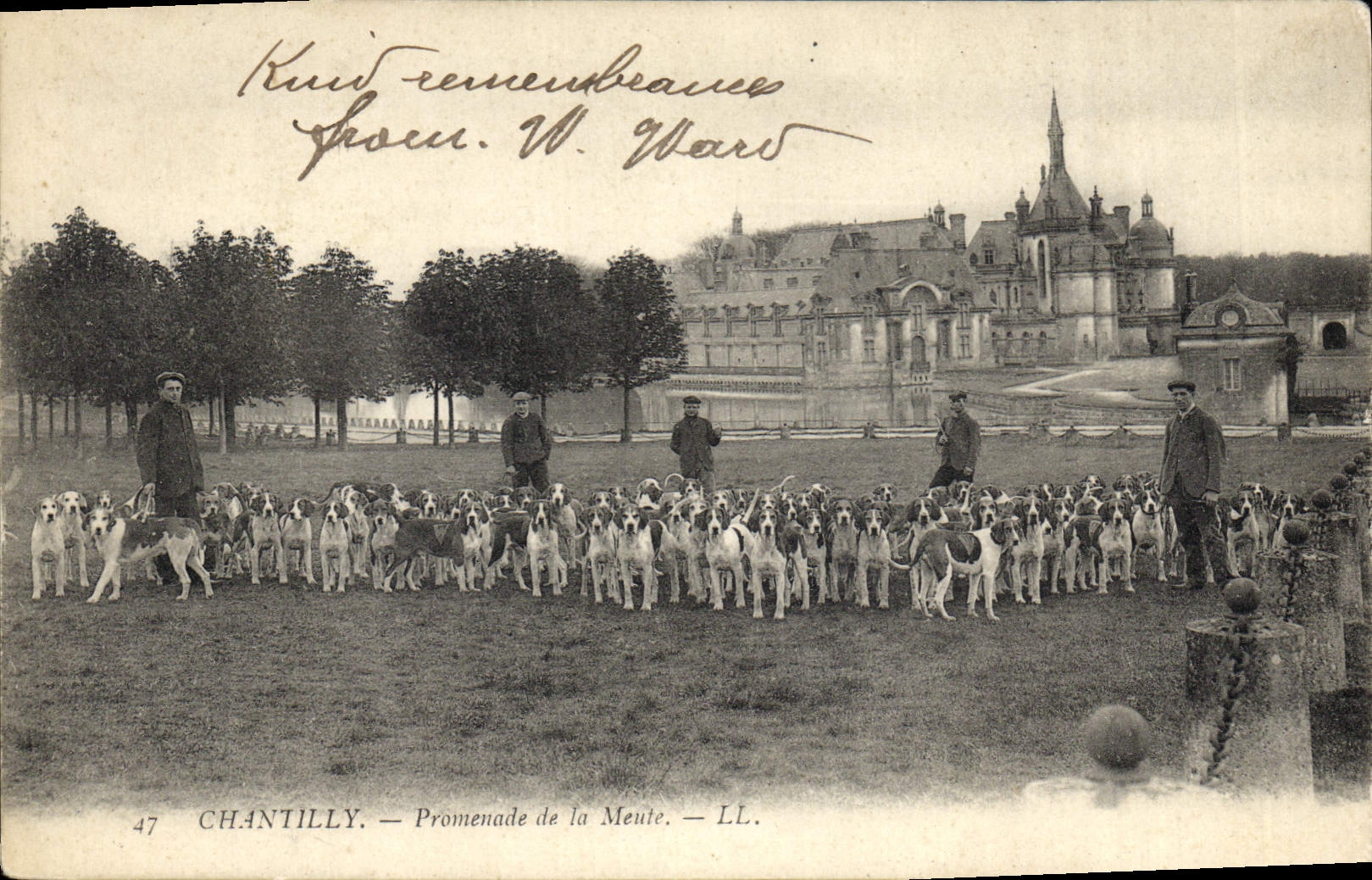 Chantilly — Promenade de la Meute — LL. — n°47
