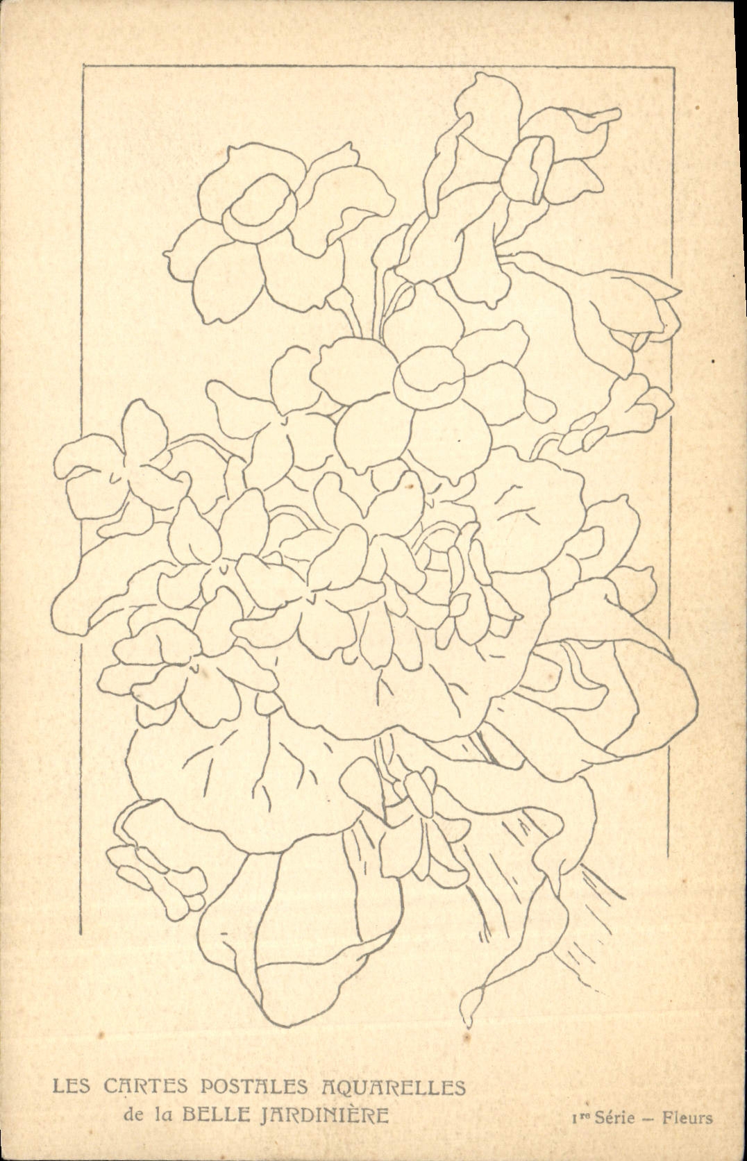 Fiori — 1ª serie — Fiori — Belle Jardinière