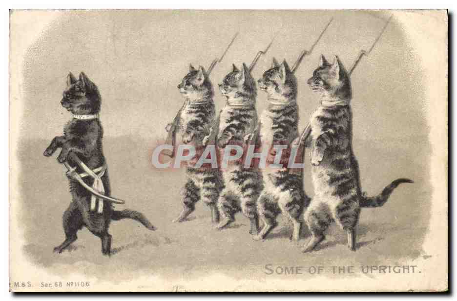 CPA Chats chat Chaton Some of the upright Militaria 