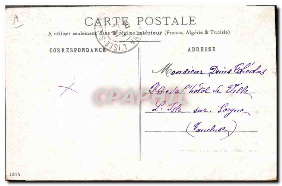 Chasse aux singes — caricature — éditeur inconnu — Verso