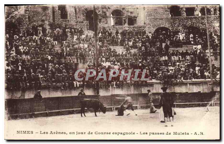 CPA Corrida Course de taureaux Nimes Les arenes un jour de course espagnole Les passes de mulets 