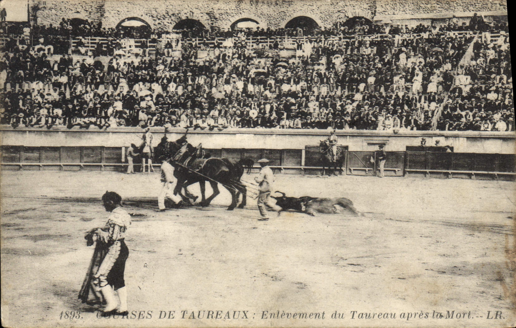 Courses de Taureaux — Enlèvement du Taureau après la Mort — LR