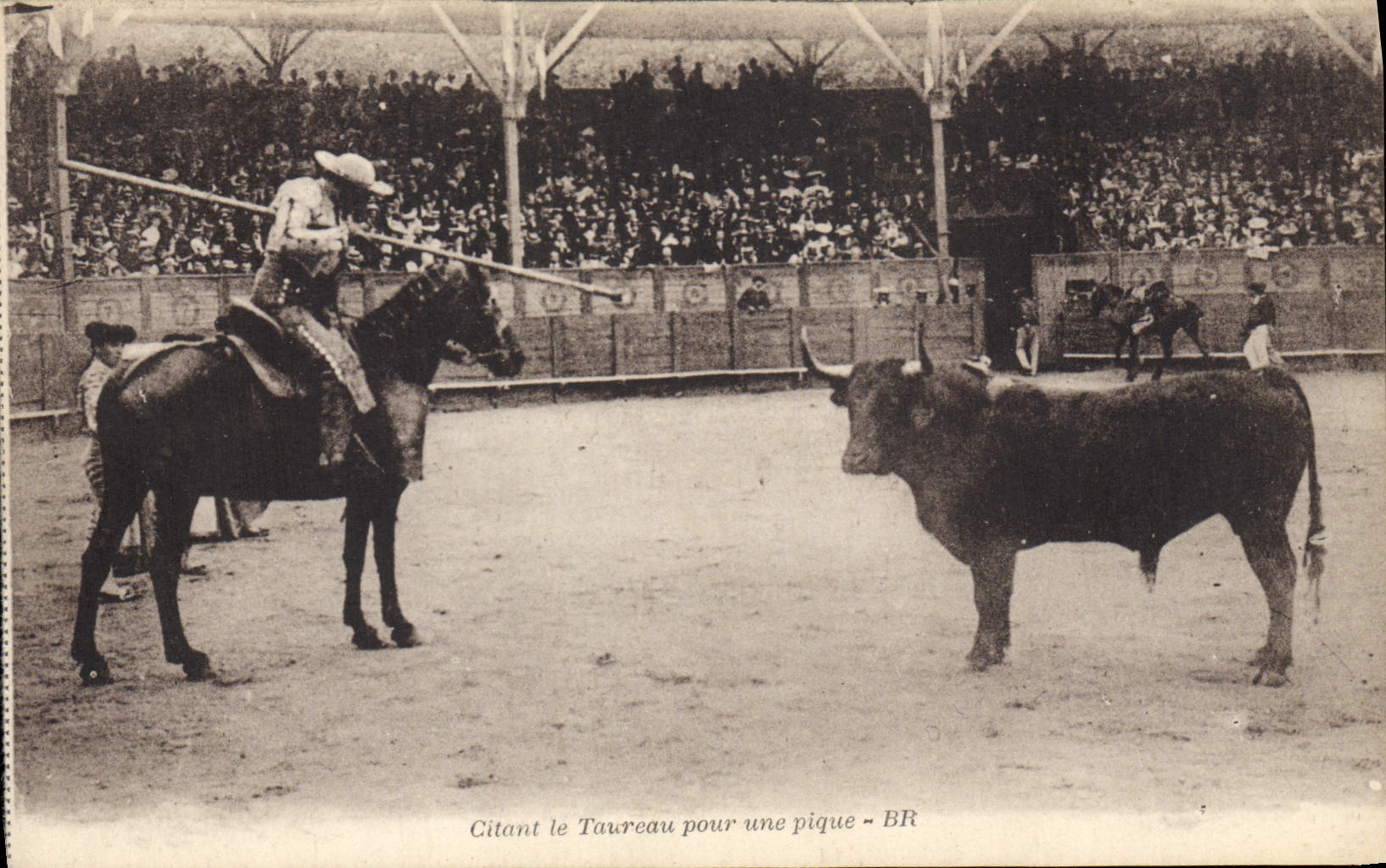 Citant le Taureau pour une pique - BR