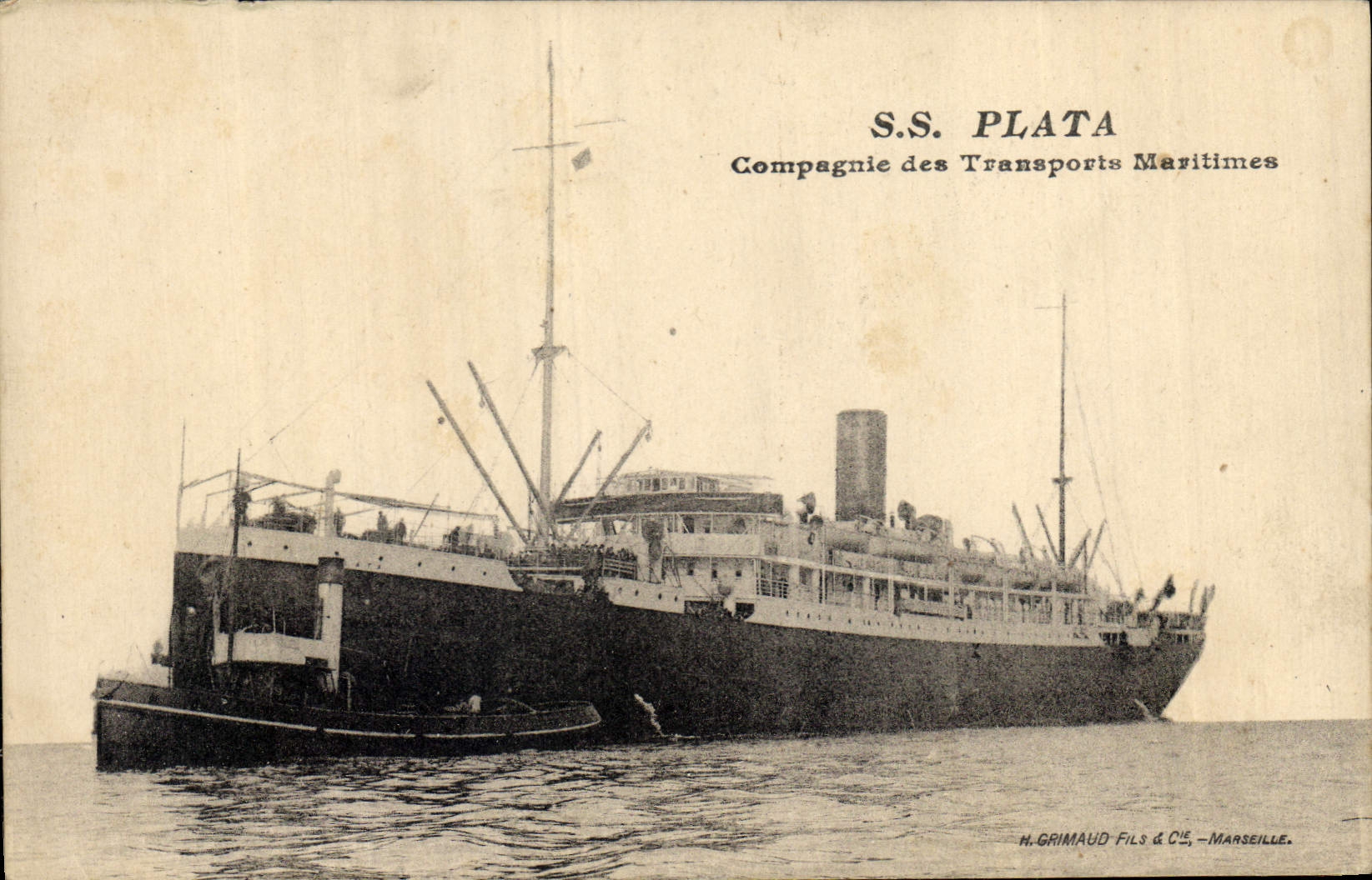 S.S. PLATA — Navire de la Compagnie des Transports Maritimes — H. GRIMAUD FILS & CIE, Marseille