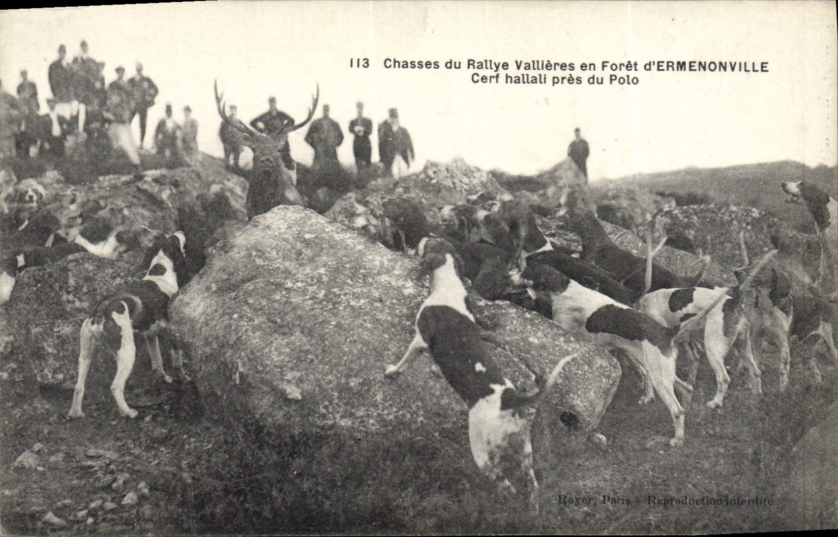 Chasses du Rallye Vallières en Forêt d'ERME NONVILLE — Cerf hallali près du Polo — Royer, Paris — n° 113