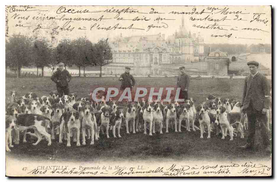 Chantilly — Promenade de la Meute — LL. n°47