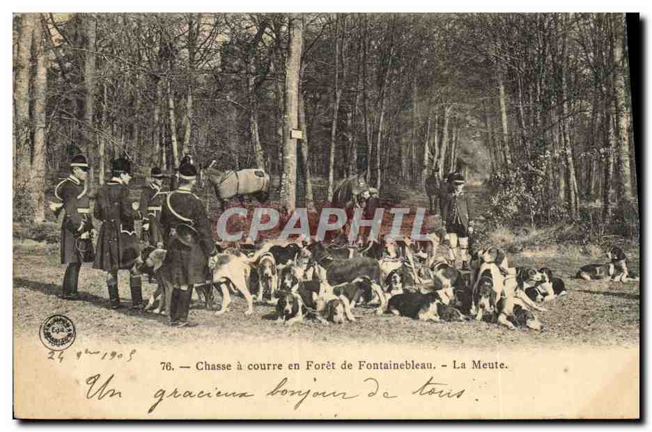 Chasse à courre en Forêt de Fontainebleau — La Meute — Cyl. 76