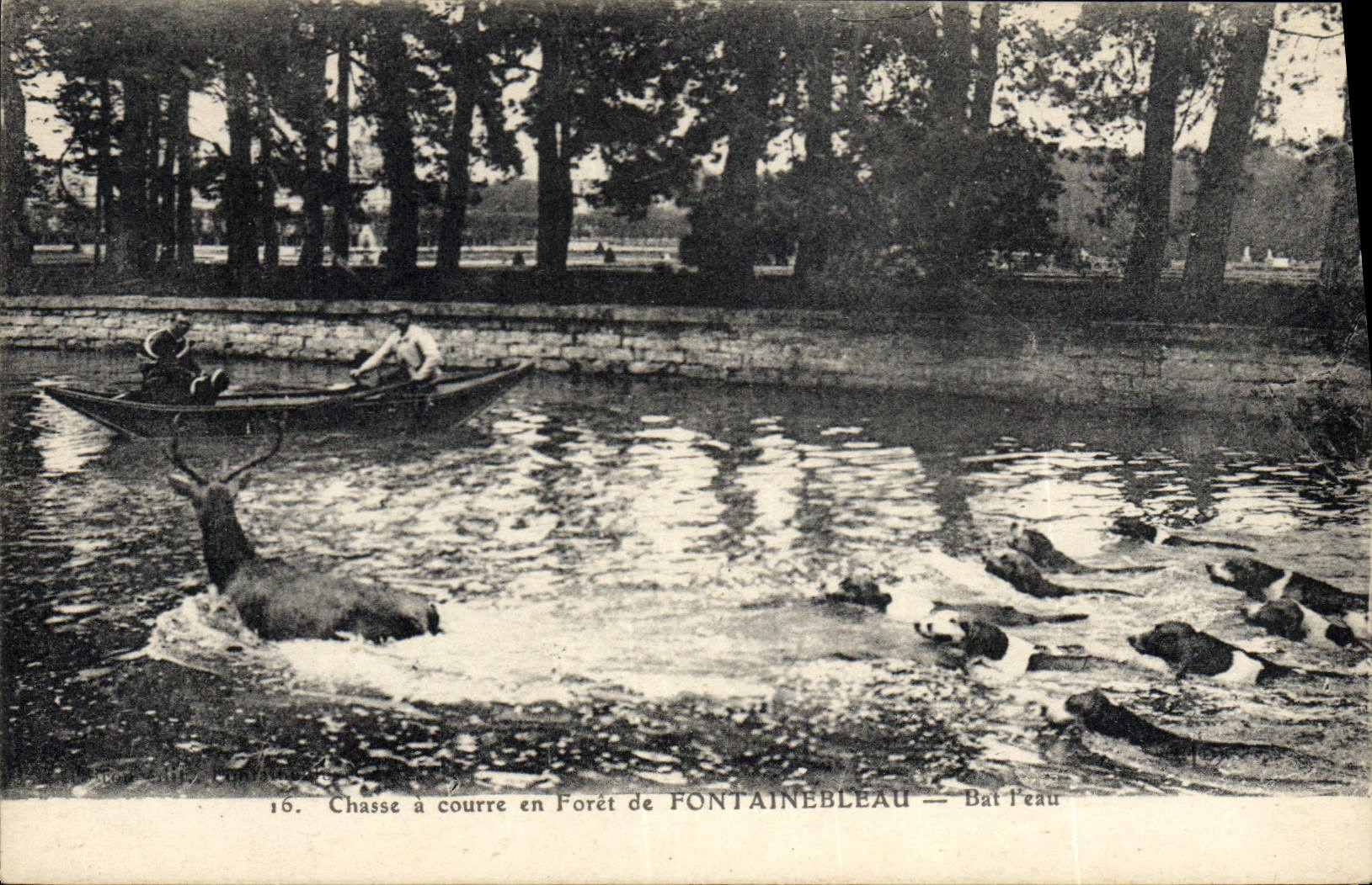 Chasse à courre en Forêt de FONTAINEBLEAU — Bat l'eau