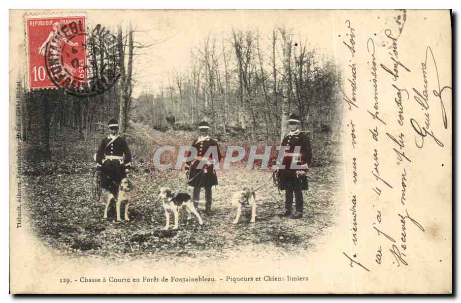 Chasse à Courre en Forêt de Fontainebleau — Piqueurs et Chiens limiers — Thibault, éditeur