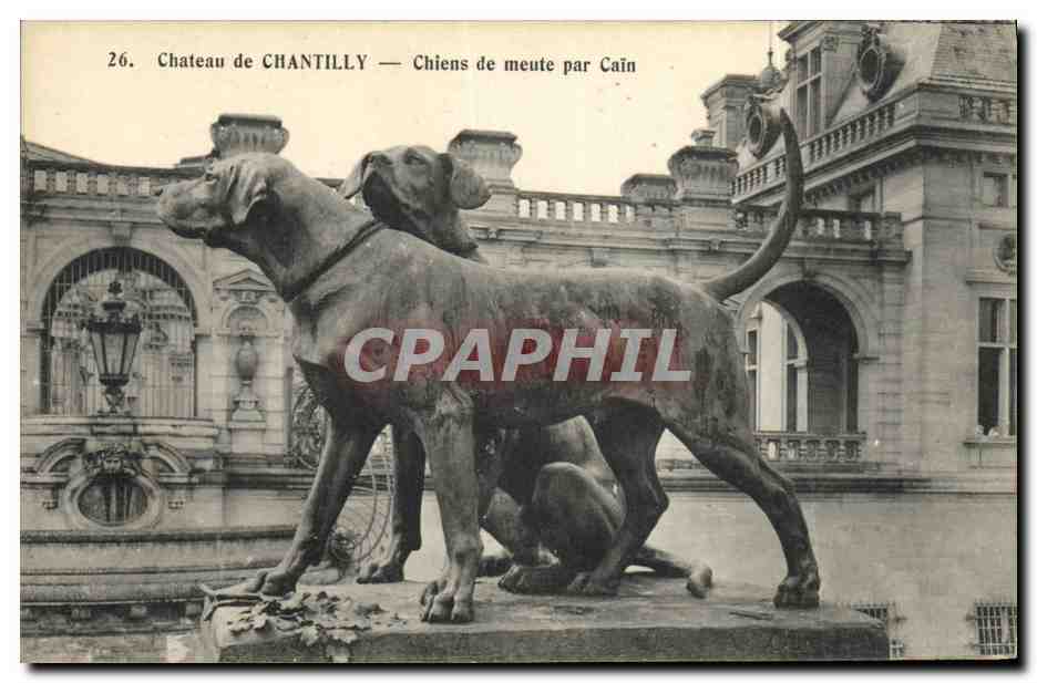 Château de Chantilly — Chiens de meute par Cain