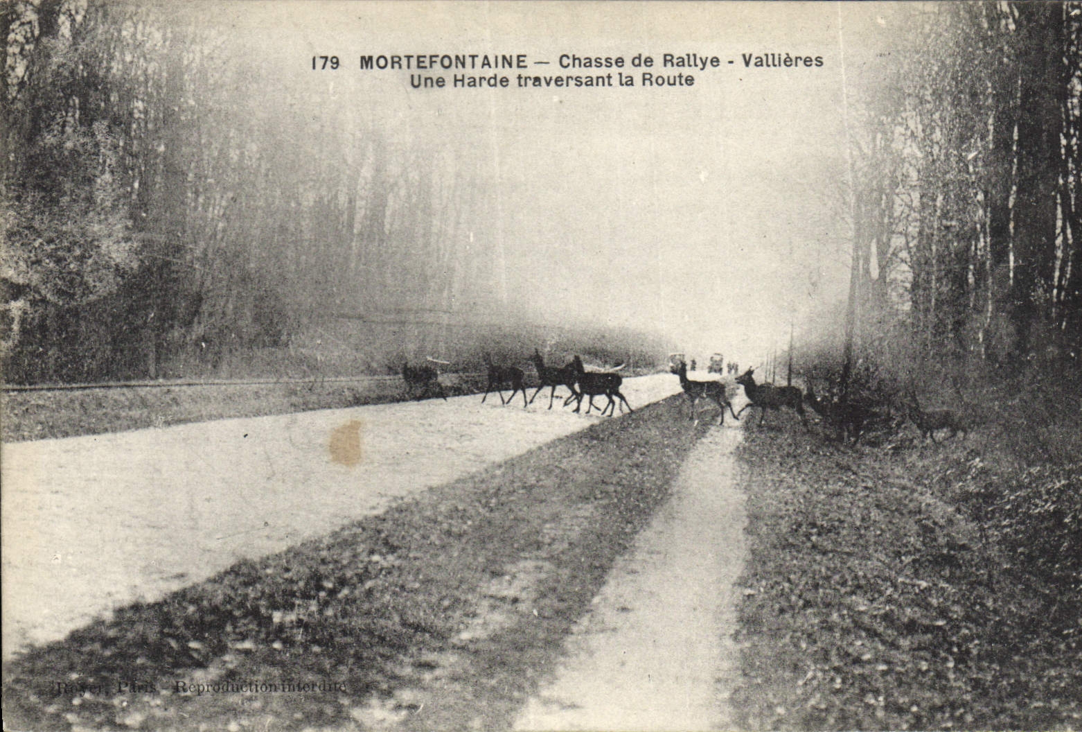 Mortefontaine — Chasse de Rallye - Vallières : Une Harde traversant la Route — Rosen, Paris, n°179