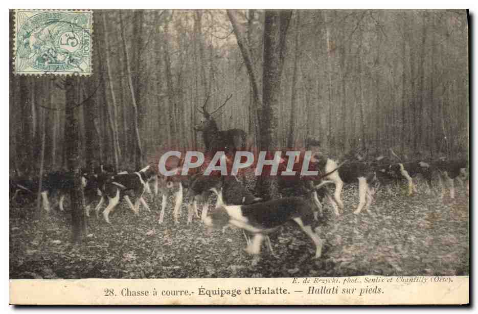 Chasse à courre - Équipage d'Halatte — Hallati sur pieds. E. de Rezycki, phot. Senlis et Chaplilly (Oise).