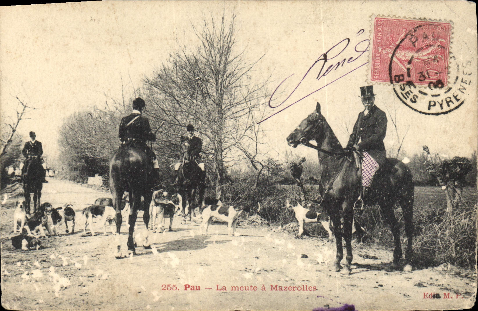 CPA Chasse a courre Pau La meute a Mazerolles Chiens Chien