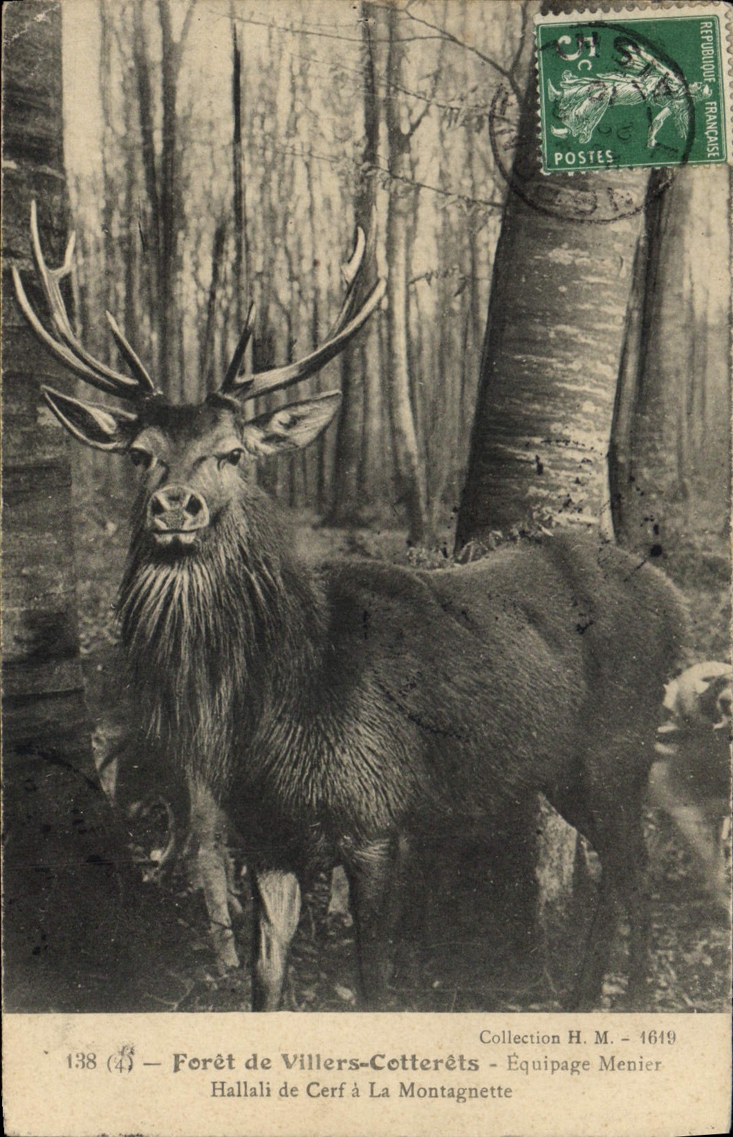 Forêt de Villers-Cotterêts — Hallali de Cerf à La Montagnette — Équipage Menier — Collection H. M. - 1619