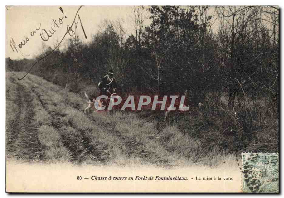 Chasse à courre en Forêt de Fontainebleau — La mise à la voie — n°80