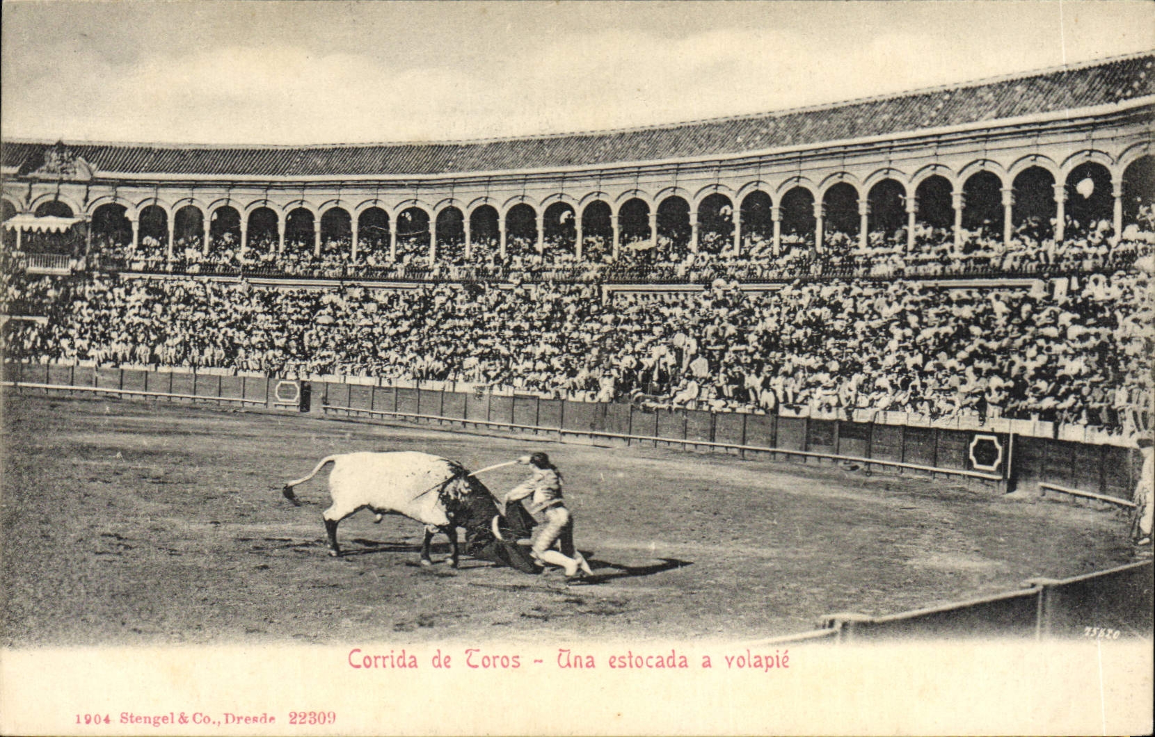 CPA Corrida Course de taureaux Una estocada a volapie 