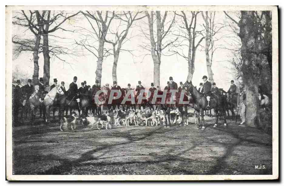Chasse au sanglier — groupe de cavaliers et chiens dans un bois — M.J.S.