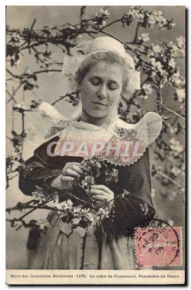 CPA Folklore Le cidre de Fouesnant Pommiers en fleurs 