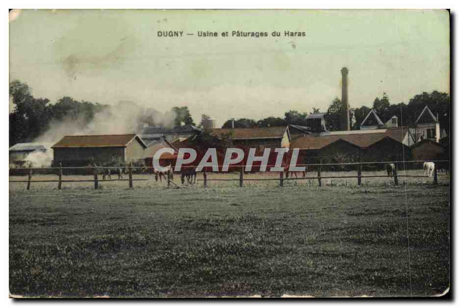CPA Cheval Chevaux Hippisme Dugny Usine et paturages du haras