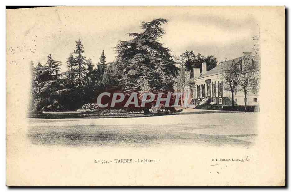 CPA Cheval Chevaux Hippisme Tarbes Le haras