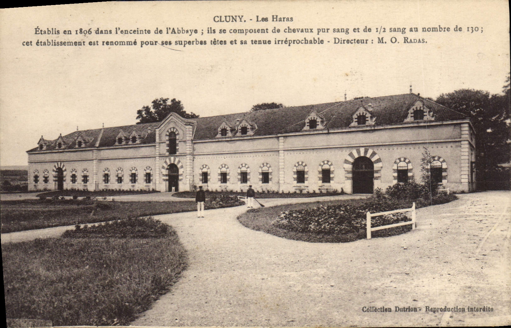 Cluny - Les Haras — Établi en 1886 dans l'enceinte de l'Abbaye — Directeur : M. O. Radás