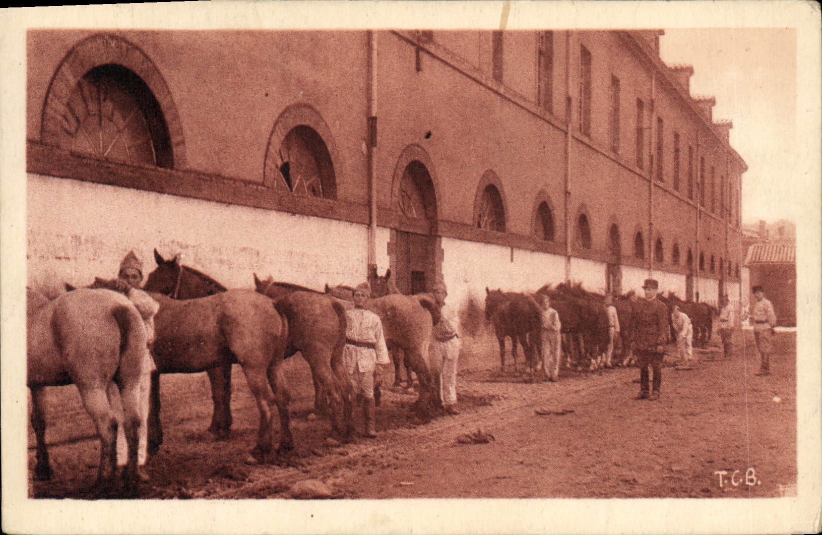 CPA Cheval Chevaux Hippisme Toulouse 117eme d'artillerie Le pansage