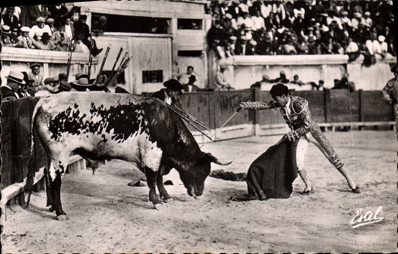 CPM Corrida Course de taureaux La mort du toro 