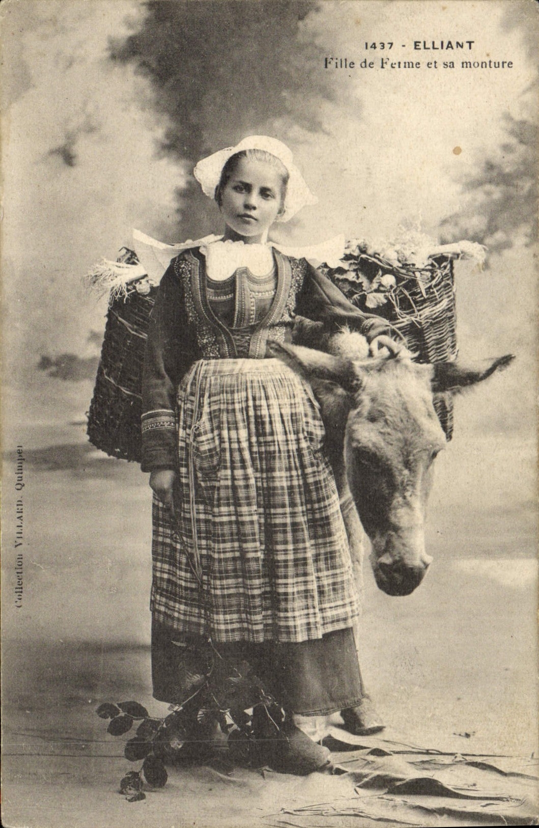CPA Folklore Elliant Fille de ferme et sa monture Ane Mule 