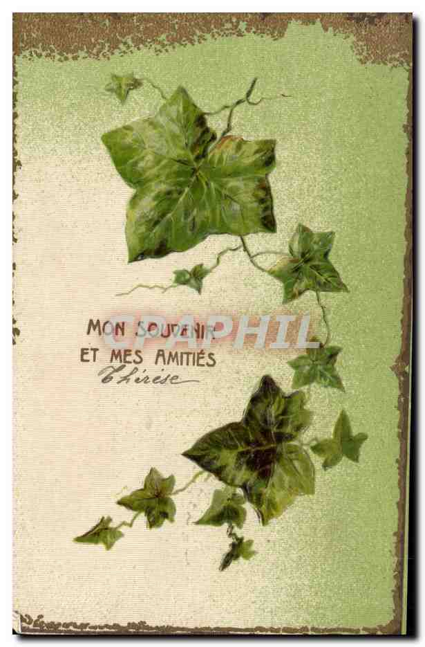 CPA Fantaisie Fleurs 