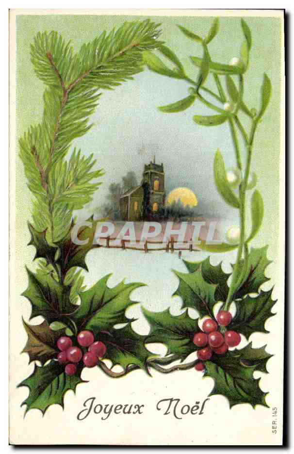 CPA Fantaisie Fleurs Joyeux Noel 