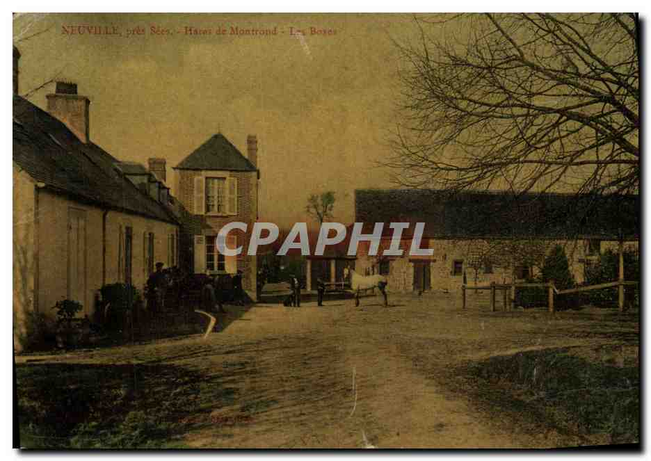 CPA Cheval Equitation Hippisme Neuville pres Sees Haras de Montrond Les Boxes