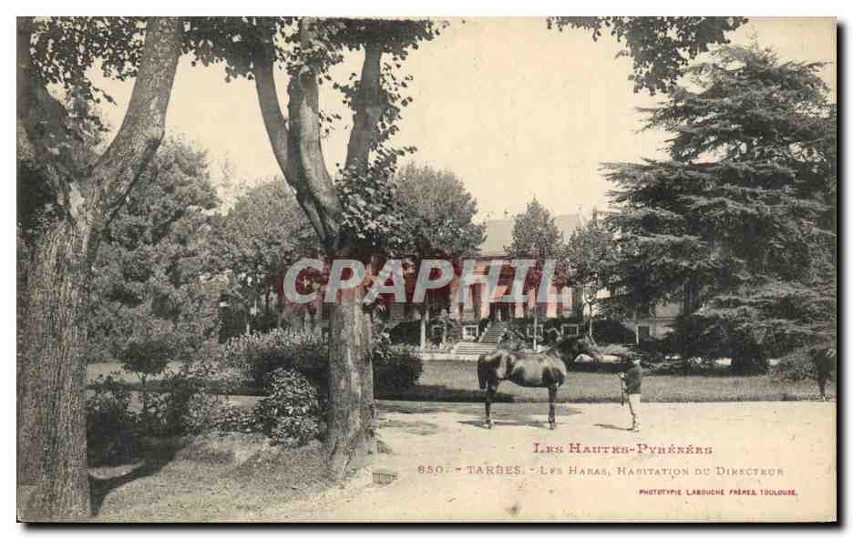 Les Hauts-Pyrénées - Les Haras, Habitation du Directeur — Phototype Labouche Frères, Toulouse