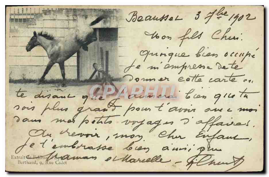 CPA Cheval Equitation Hippisme 