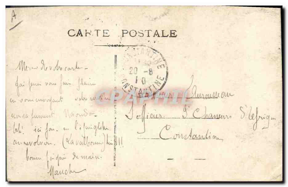 CARTE PHOTO Cheval Equitation Hippisme  — Verso