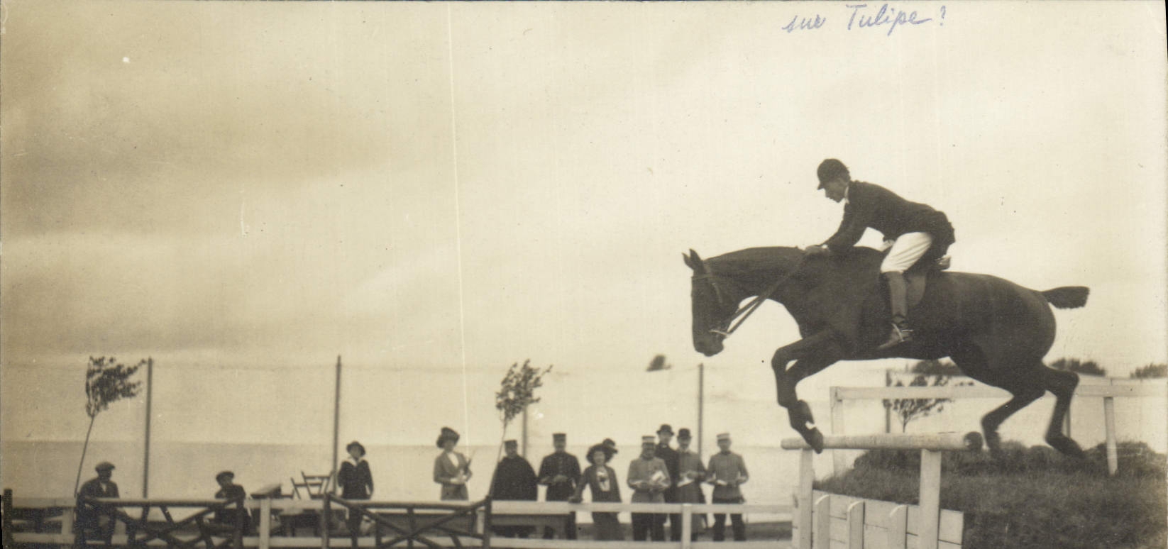 Saut d'équitation — Événement équestre — O. Hacquart, Photo Amiens