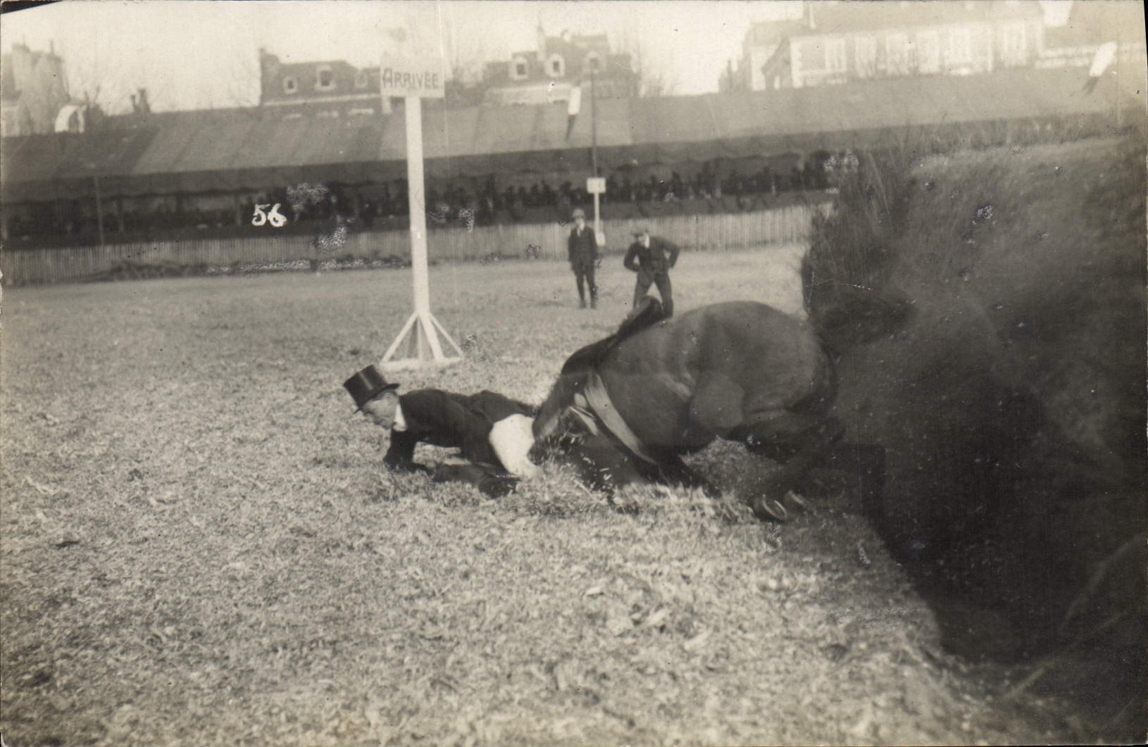 Course de taureaux — arrivée — éditeur inconnu, n° de série 56