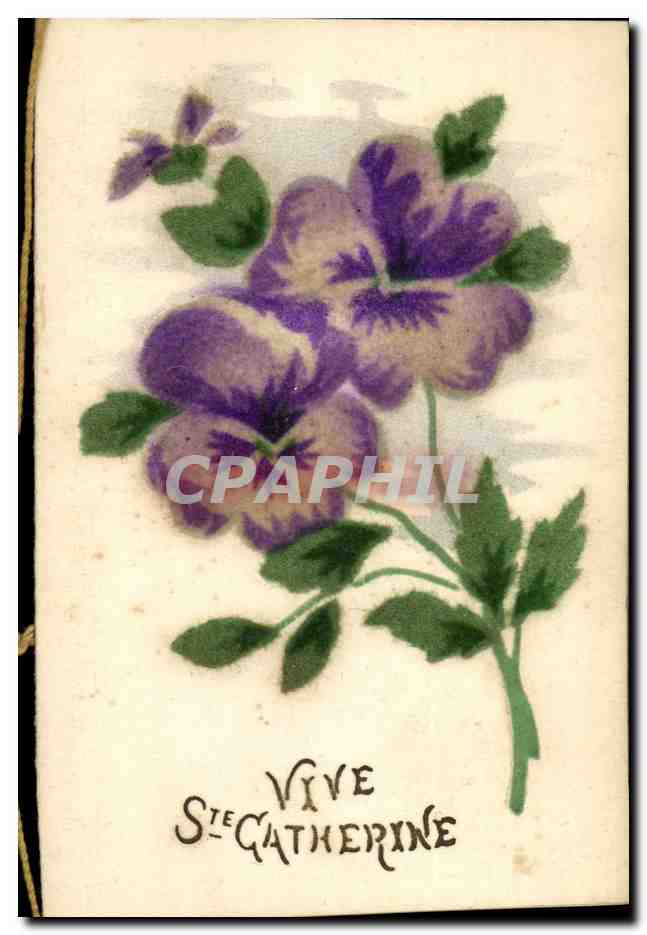 CPA Fantaisie Fleurs Bonnet Ste Catherine