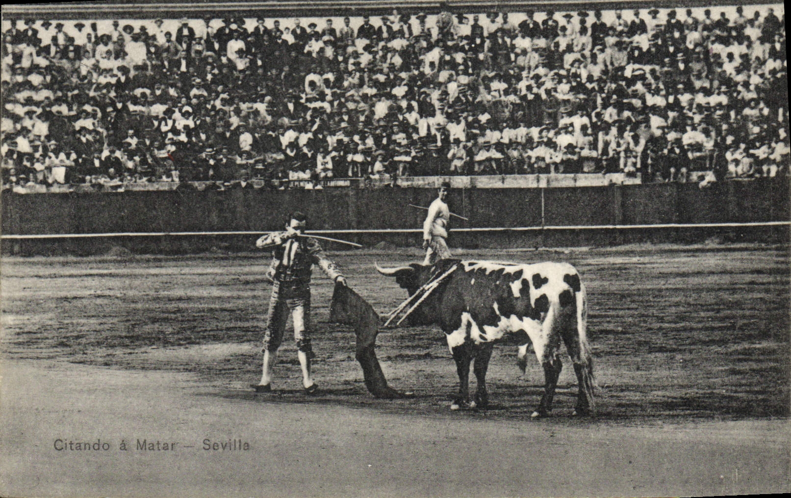 CPA Corrida Course de taureaux Citando a matar Sevilla