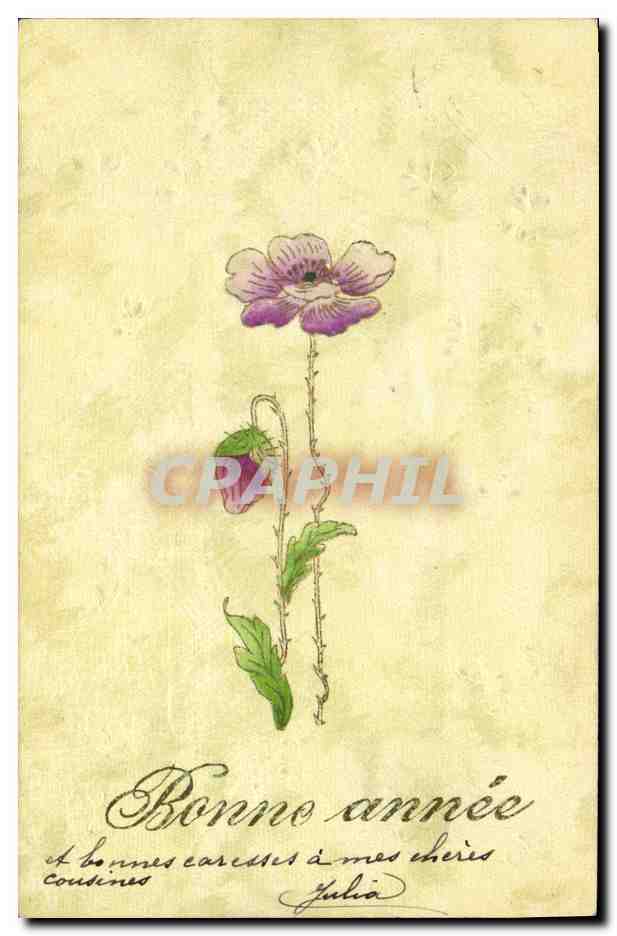 Fleur de violette — Bonne année à mes chers cousins — Julia