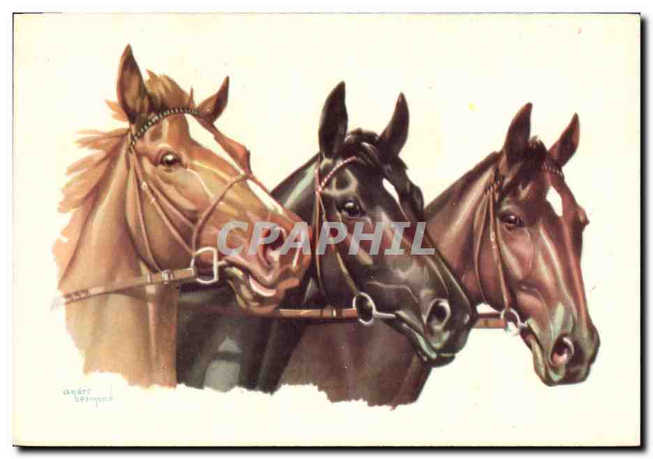CPA Hippisme Equitation 