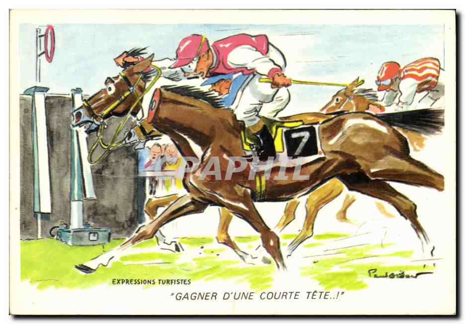 CPM Hippisme Equitation Gagner d'une courte tete ! Expressions Turfistes 